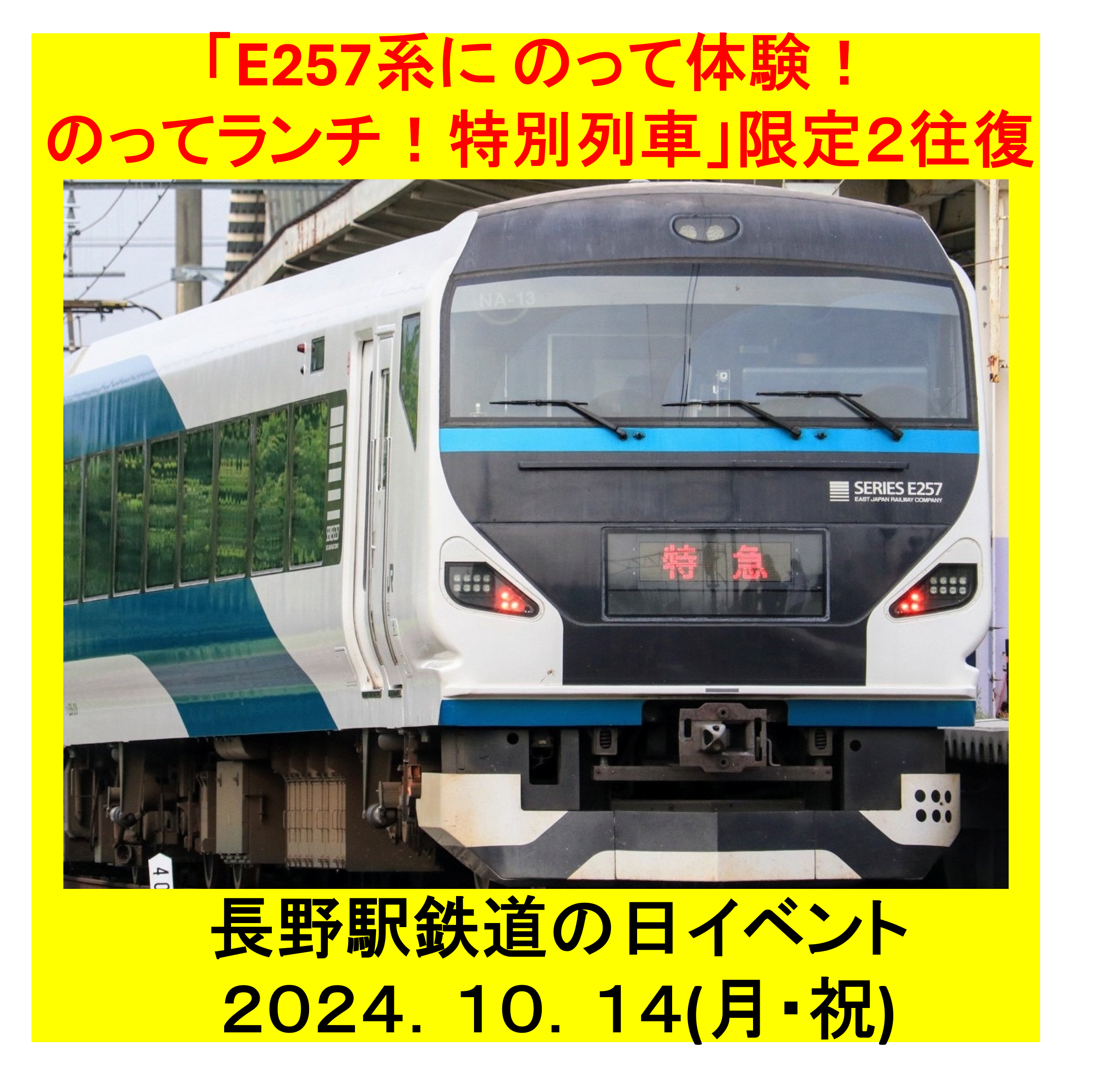 E257系にのって体験！のってランチ！特別列車（第１回目）　E257系入換車両乗車体験【お弁当&鉄道体験つき】プラン