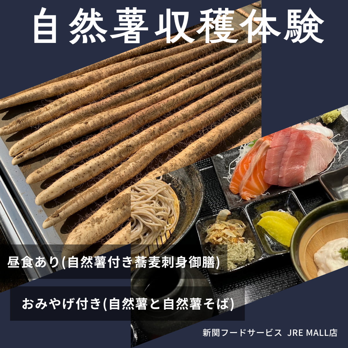 つくばの自然薯収穫体験（自然薯農場にて） つくばの自然薯収穫体験プラン（昼食・お土産あり）