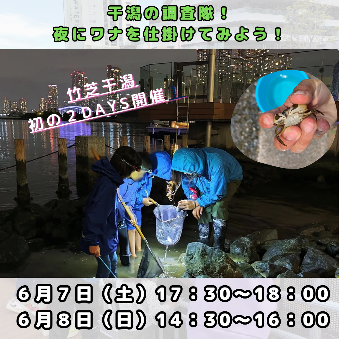 2DAYS開催！干潟の調査隊！夜にワナを仕掛けてみよう！ 干潟の調査隊！夜にワナを仕掛けてみよう！