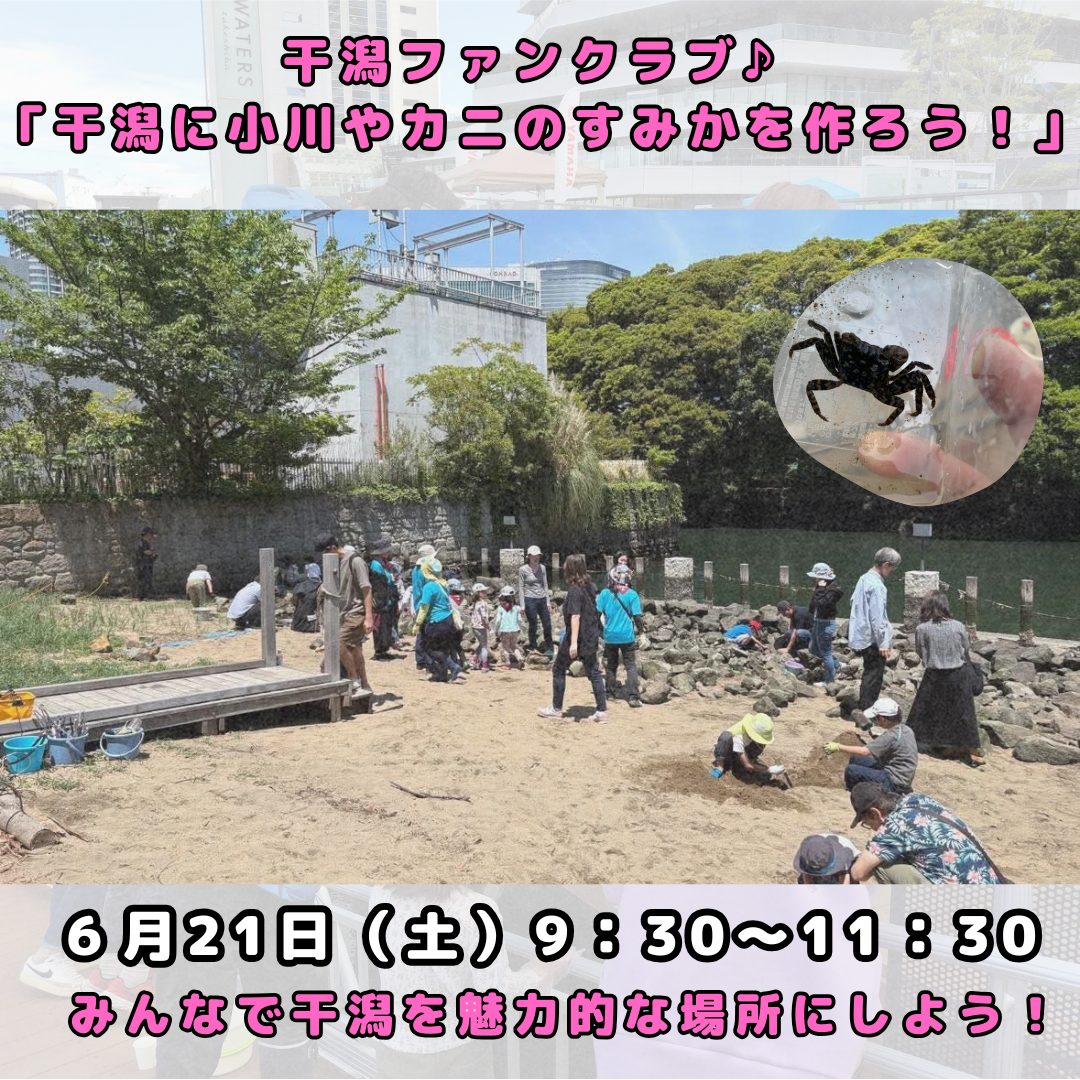 干潟ファンクラブ 「干潟に小川やカニのすみかを作ろう！」 干潟ファンクラブ