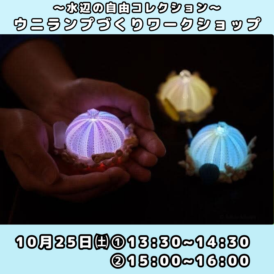 10/25（土）ウニランプづくりワークショップ ウニランプづくりワークショップ