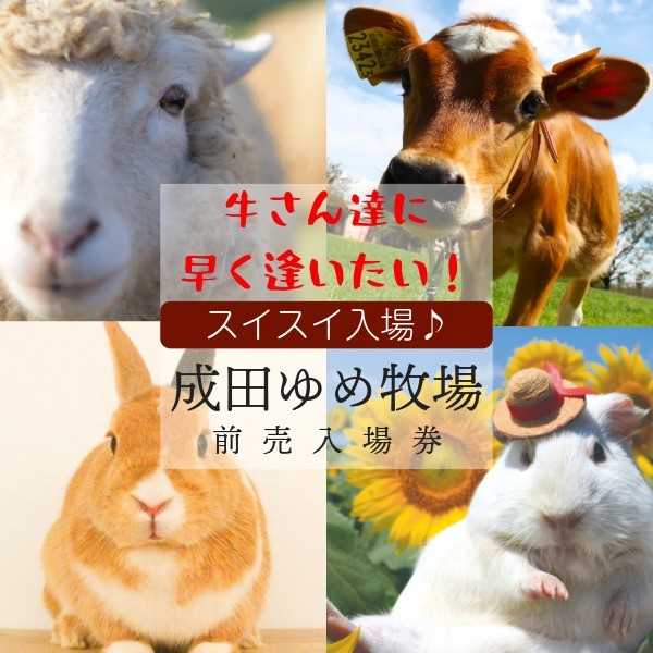 【スイスイ入場】成田ゆめ牧場前売り入場券（土日・祝日） 土日・祝日前売り入場券（2025年3月～11月分）