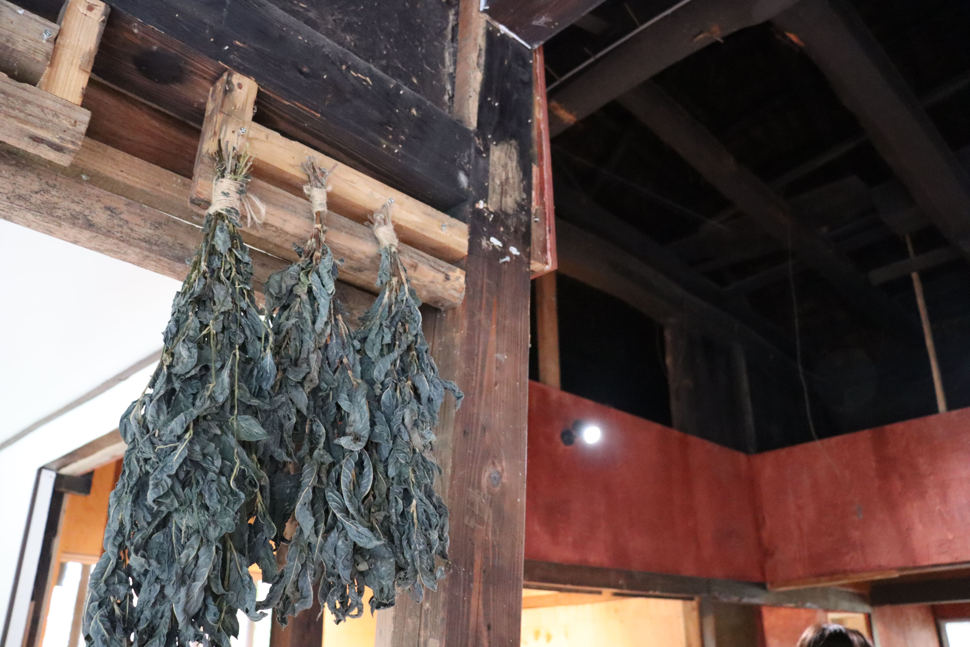 会津 観光、会津 藍染、会津 体験