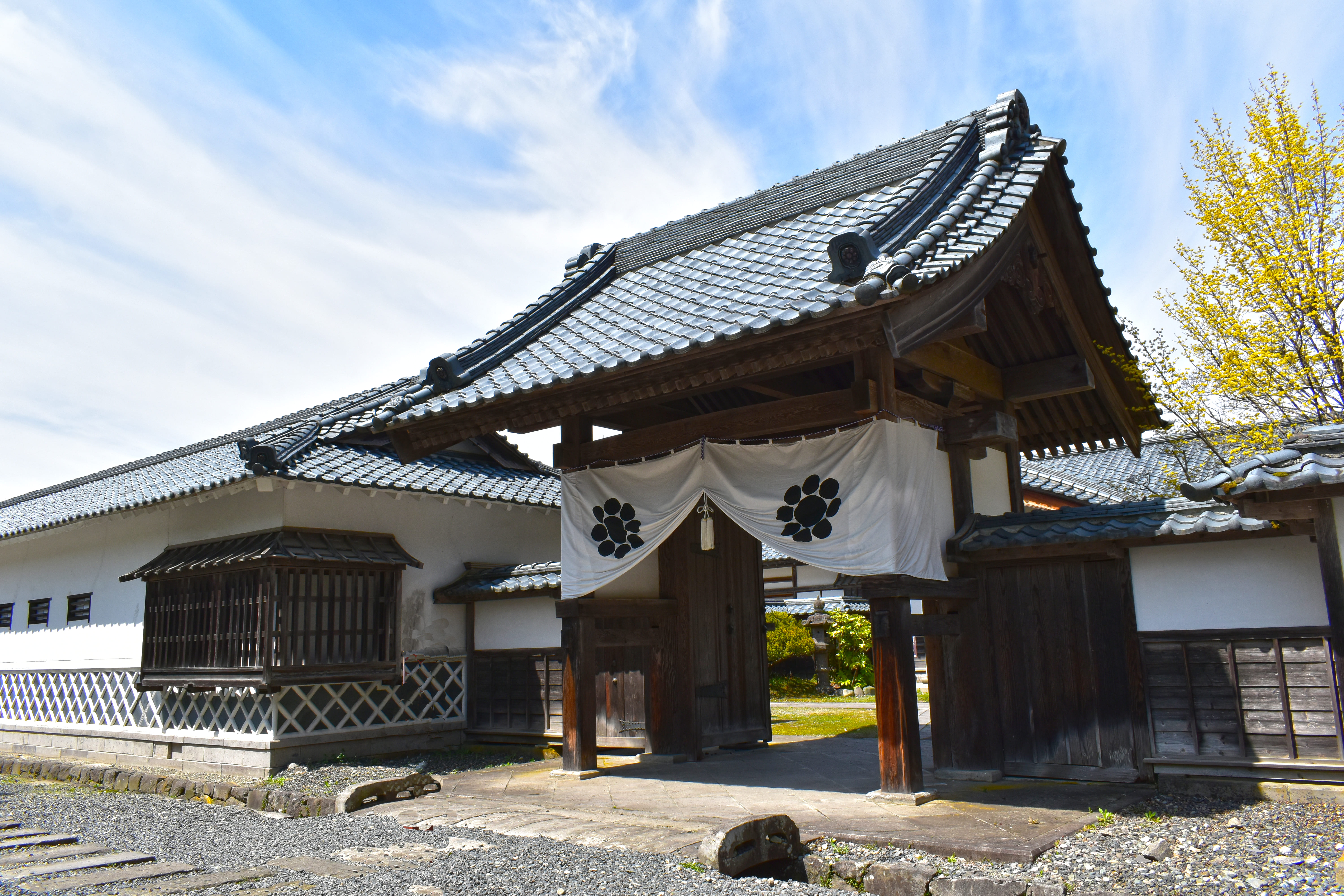 会津 観光、会津 藍染、会津 体験