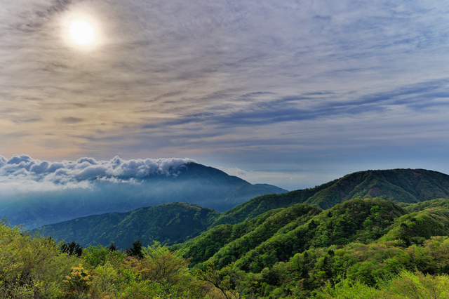 秦野へのおでかけで外せない！自然・歴史・温泉を満喫するおすすめ観光スポット5選