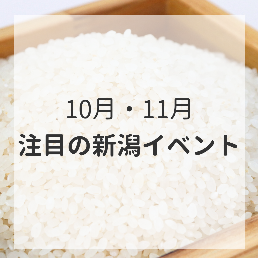 新潟イベント