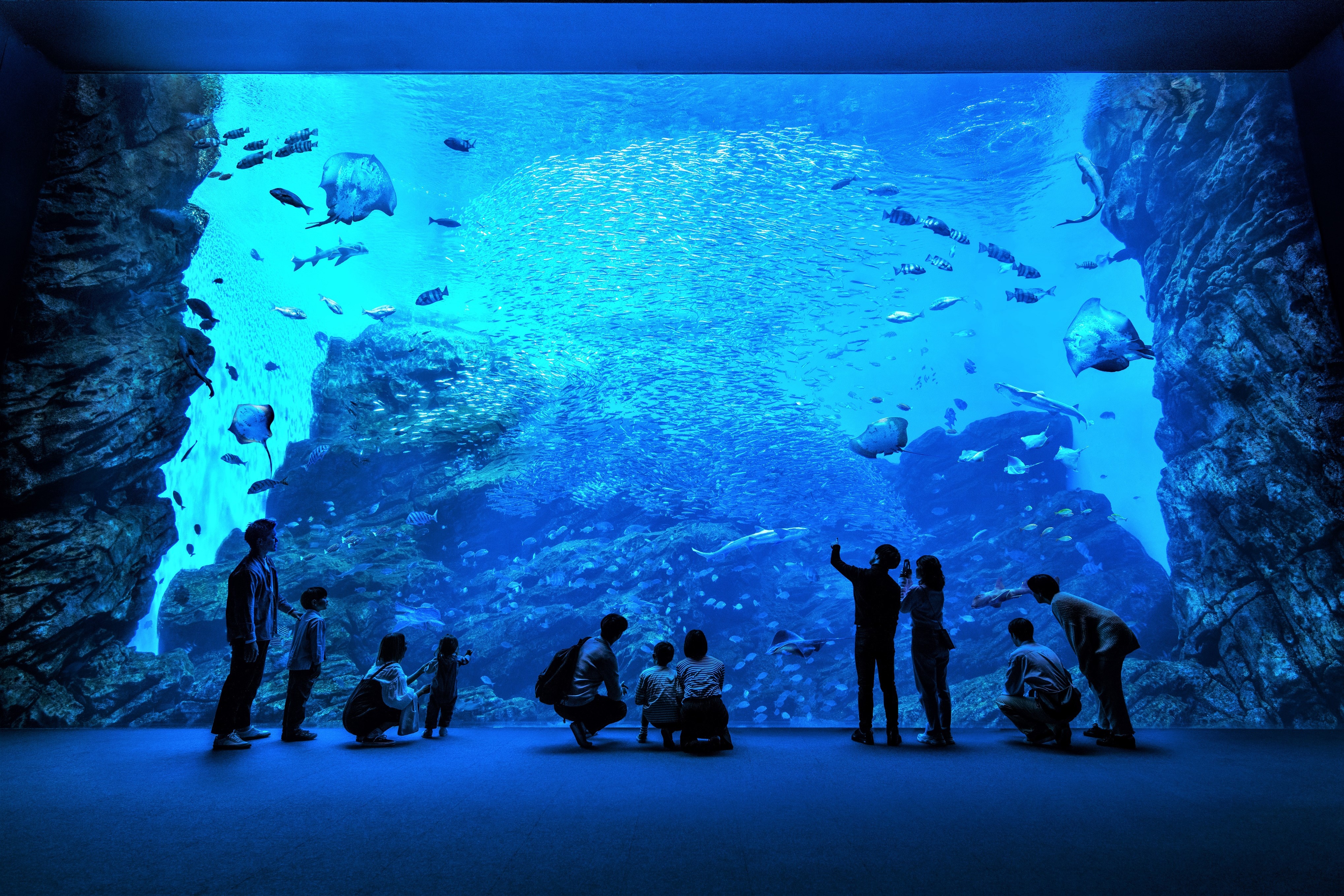 2026年最新】仙台うみの杜水族館の料金・割引・前売り・当日券まとめ