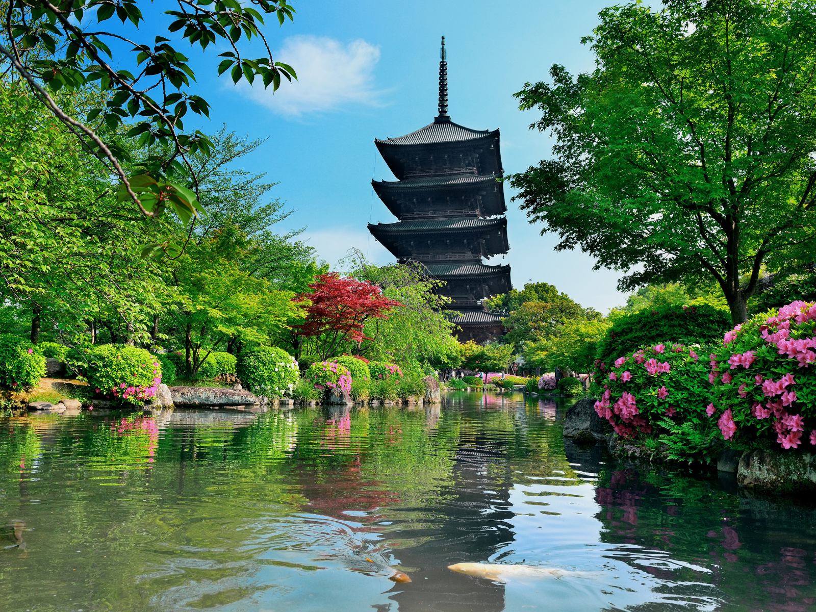京都の観光スポット 東寺