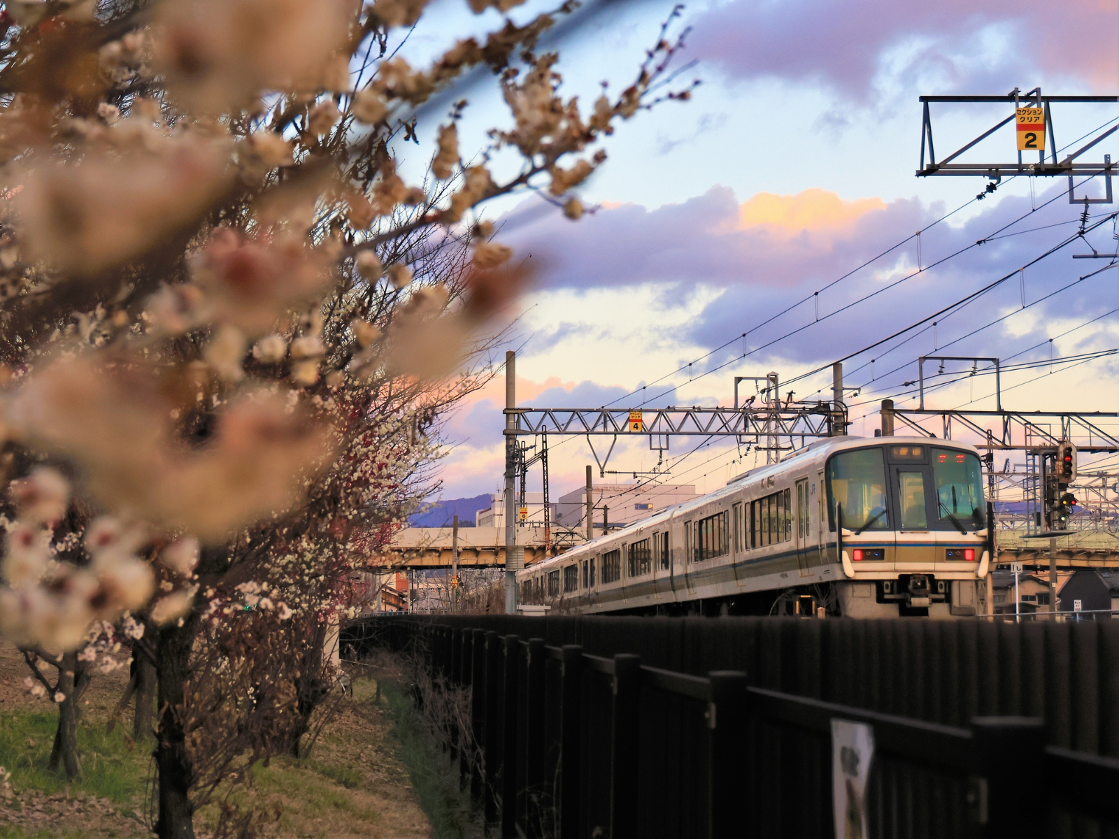 京都の観光スポット 梅小路公園