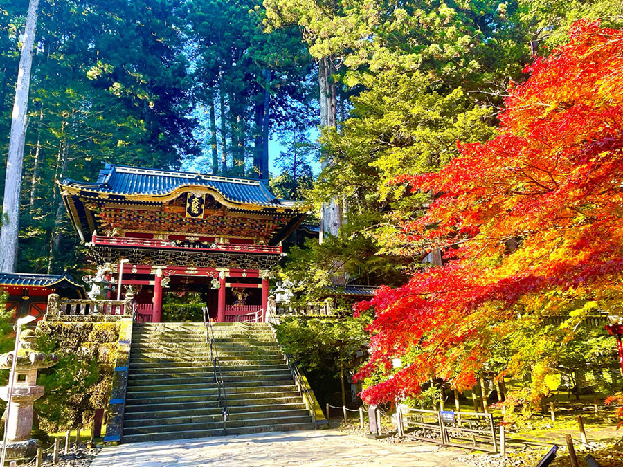 日光の観光スポット 日光山輪王寺