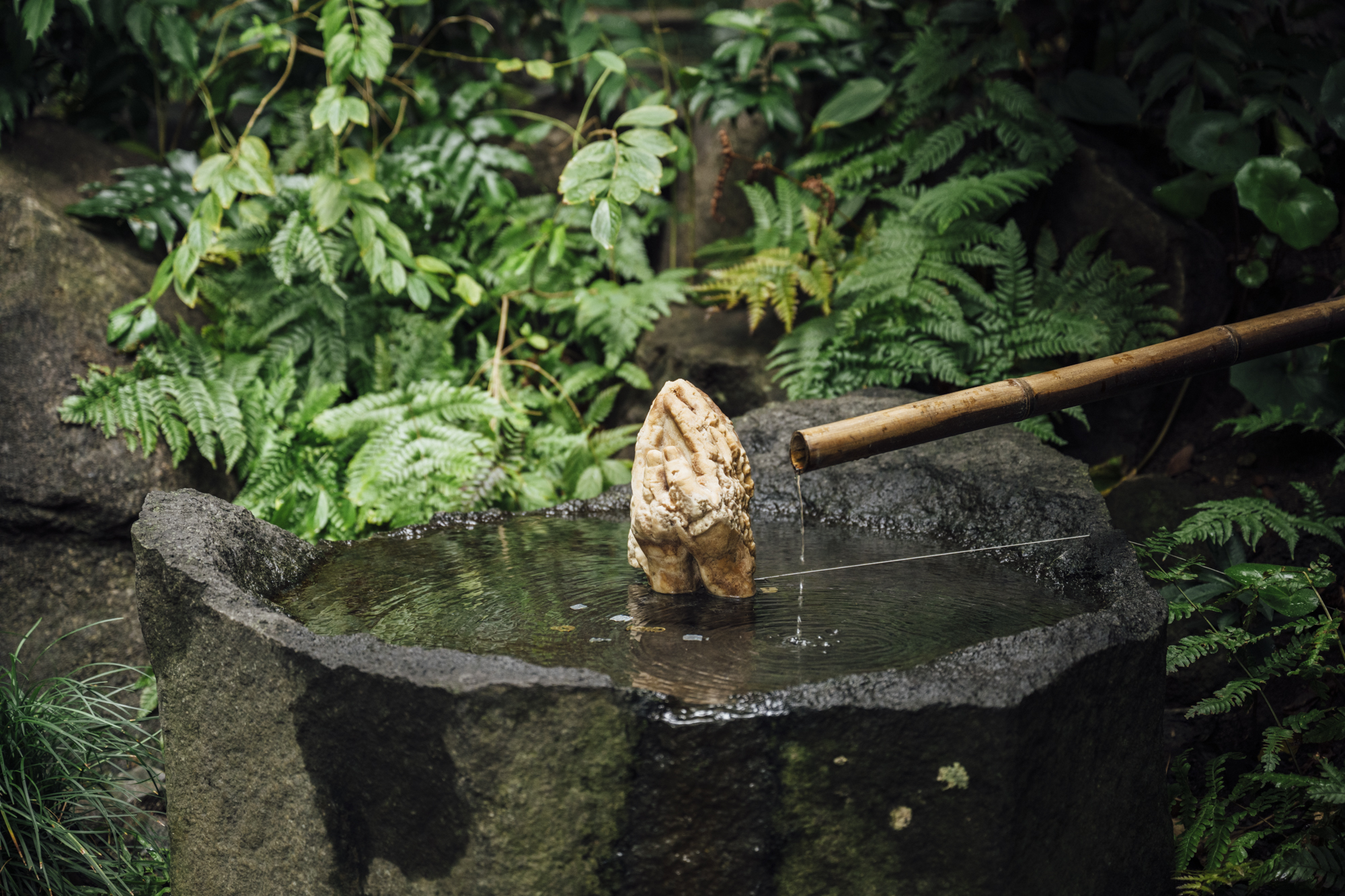 アートイベント「東京ビエンナーレ」森淳一