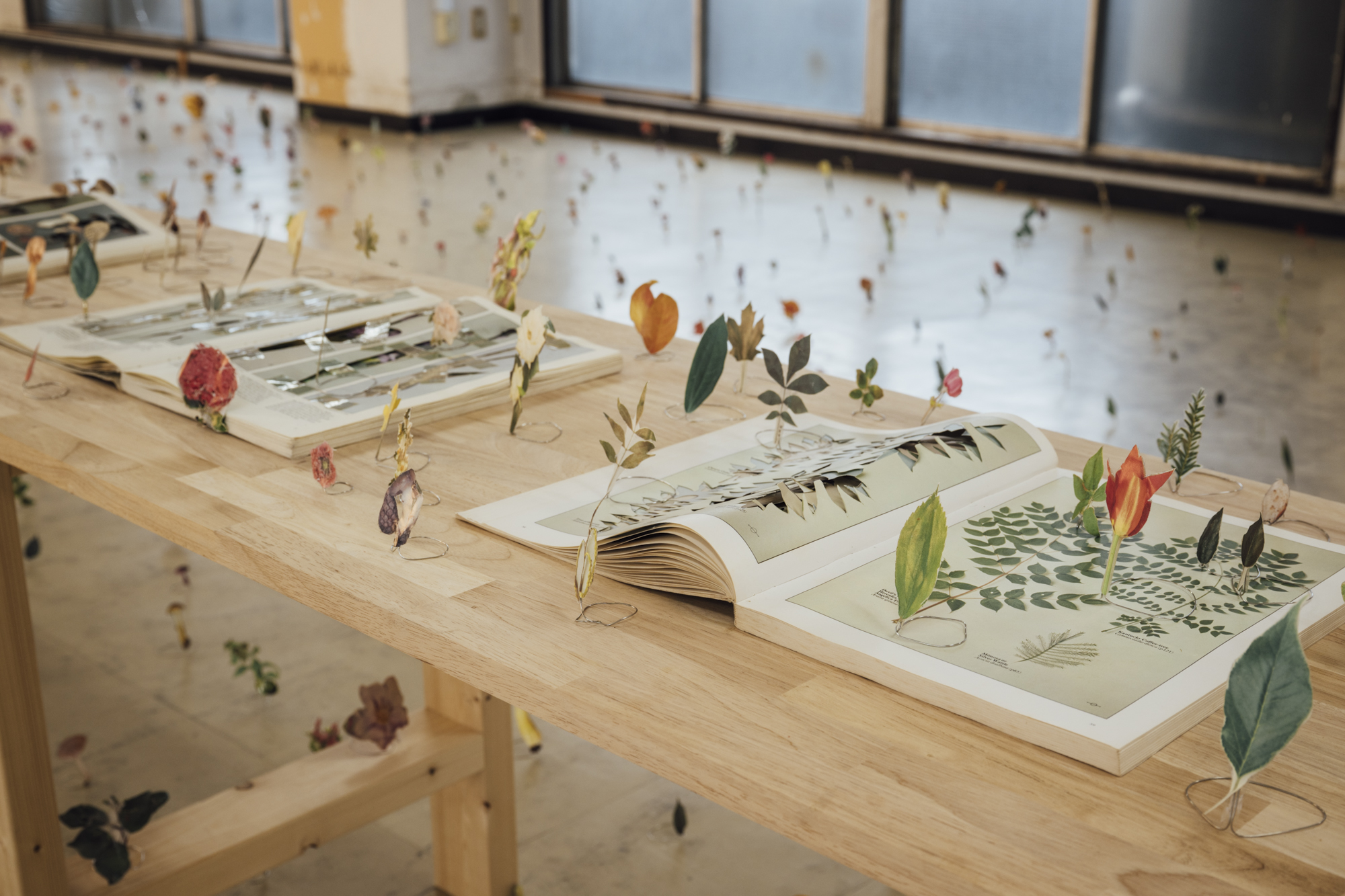 アートイベント「東京ビエンナーレ」渡辺英司